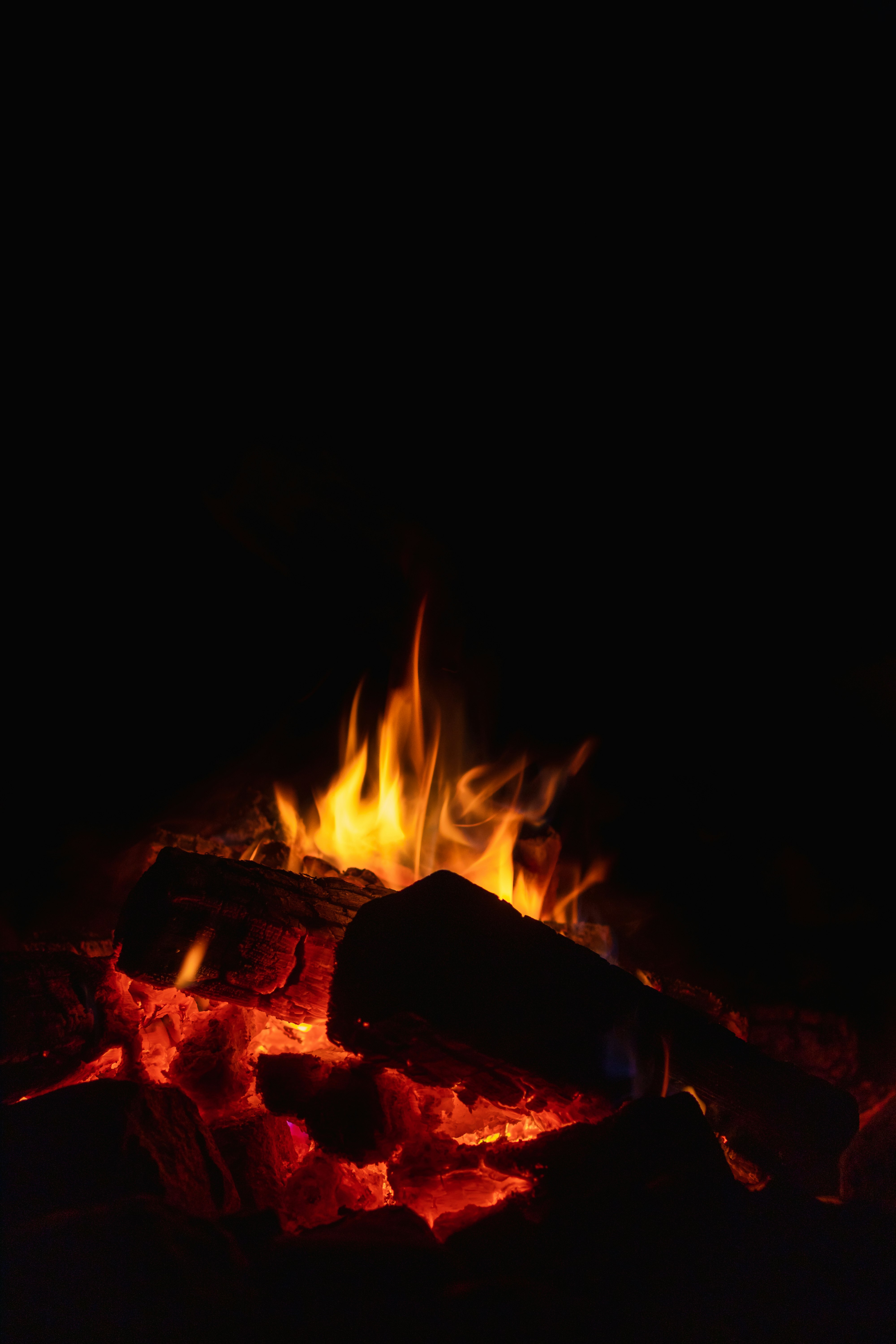 burning wood in fire pit